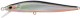 Sprint minnow
