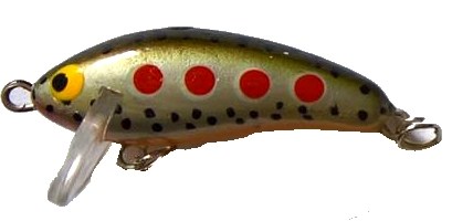 Obrázek
