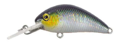 Shaky shad