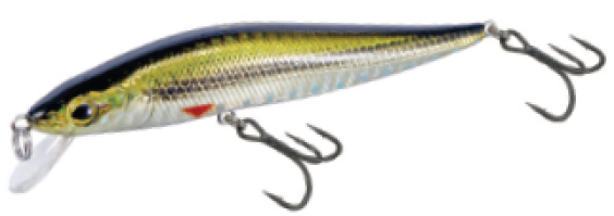 Sprint minnow (1)